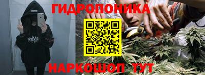PSILOCYBIN Краснодар