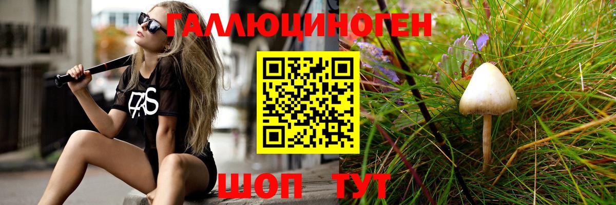 Галлюциногенные грибы мицелий Камышлов