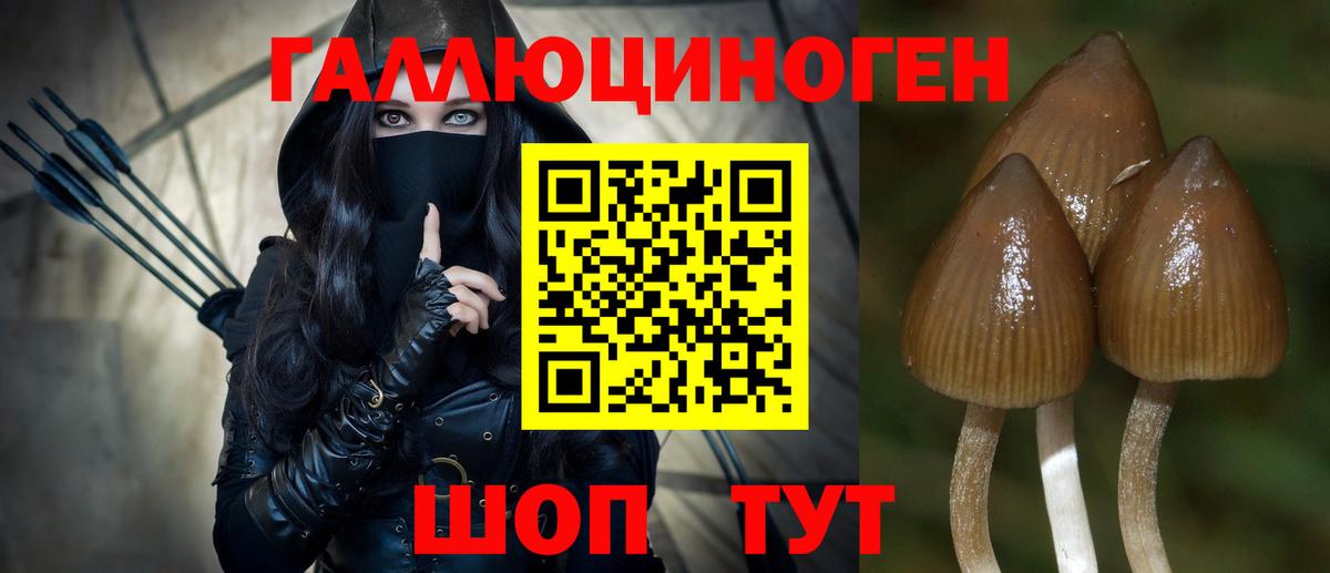 Псилоцибиновые грибы Psilocybe  Вход с VPN  Камышлов 